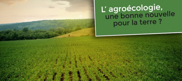 Des évangéliques discutent d'agroécologie à l’Eglise évangélique Lazare