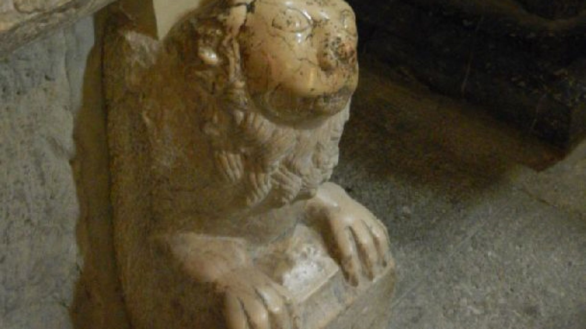 Des animaux et des cathédrales