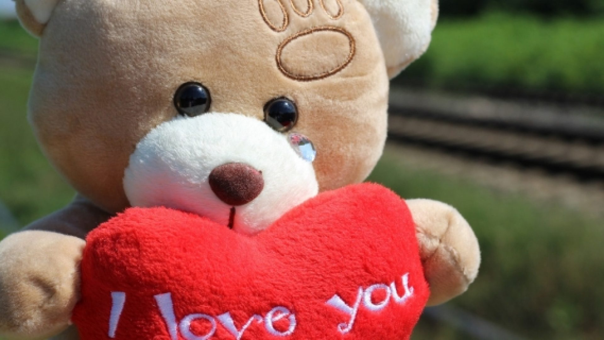 Qui contacter en cas de soupçon d'abus sexuels sur les mineurs?