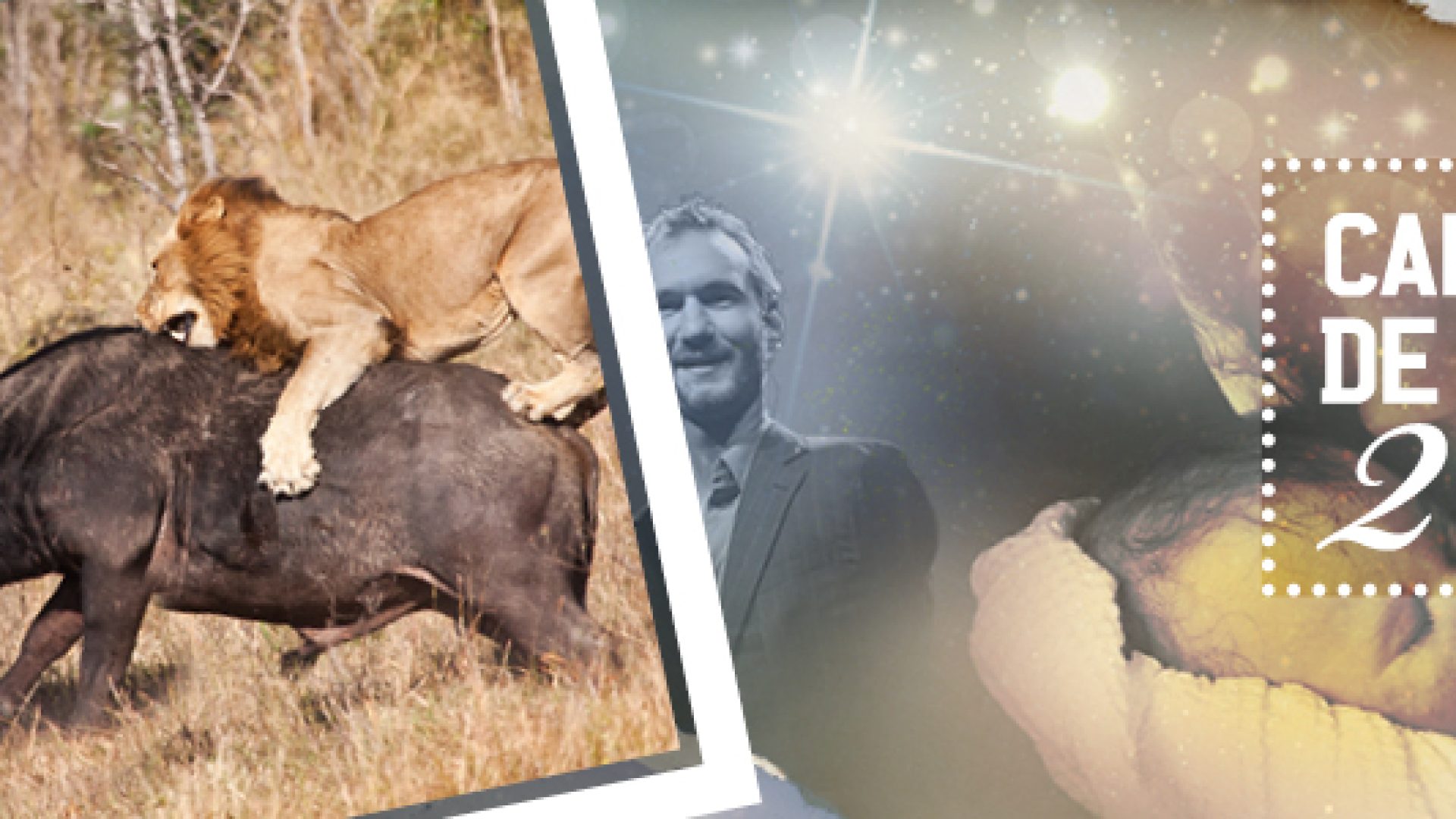 Le mal et la souffrance montrent l'existence de Dieu