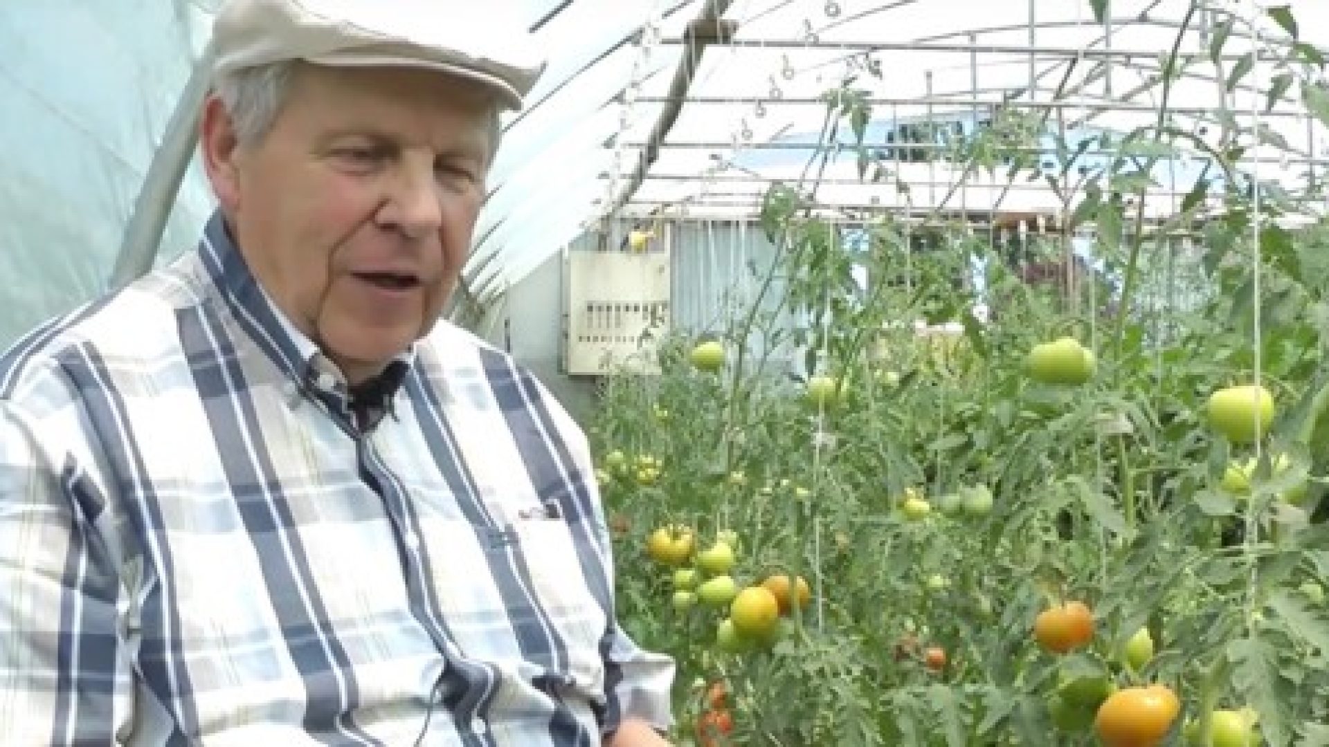 Beat Waber, agriculteur bio