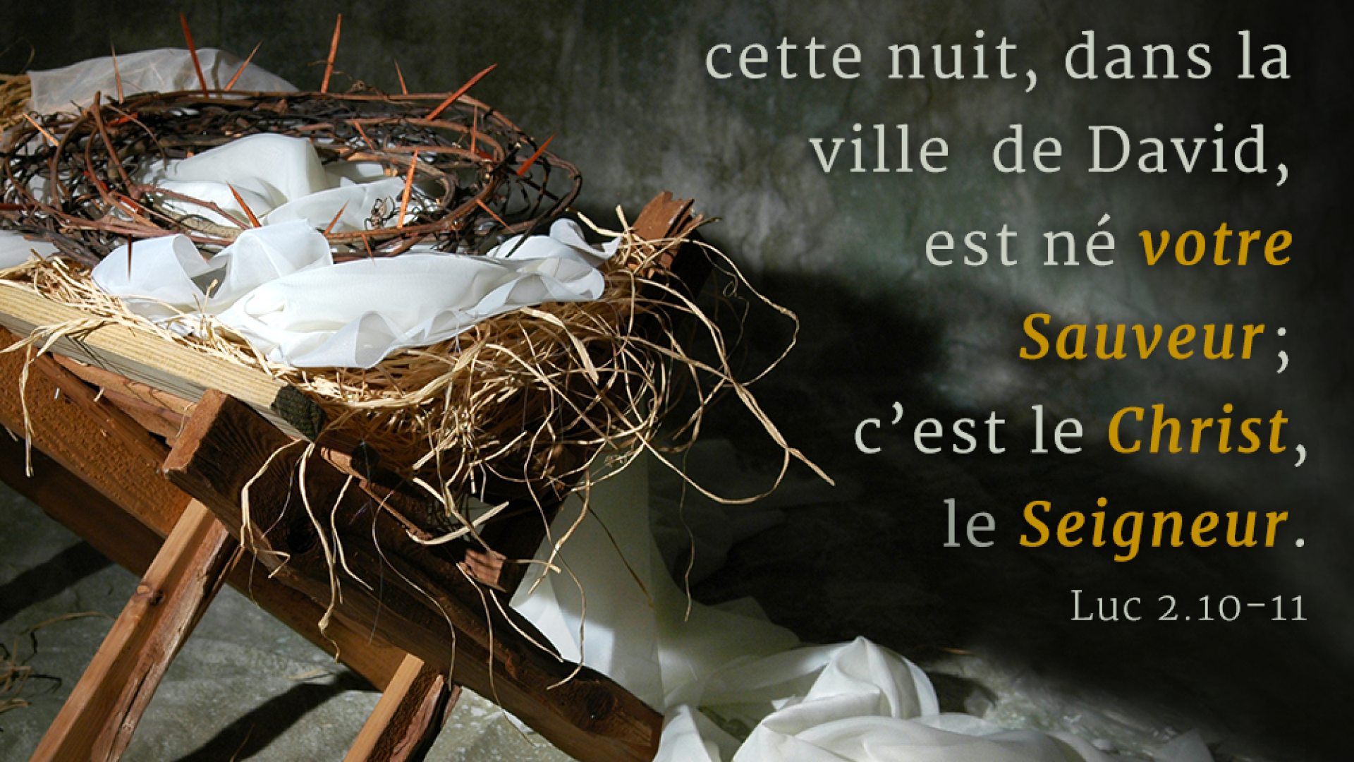 N’ayez pas peur, car je vous apporte une bonne nouvelle !