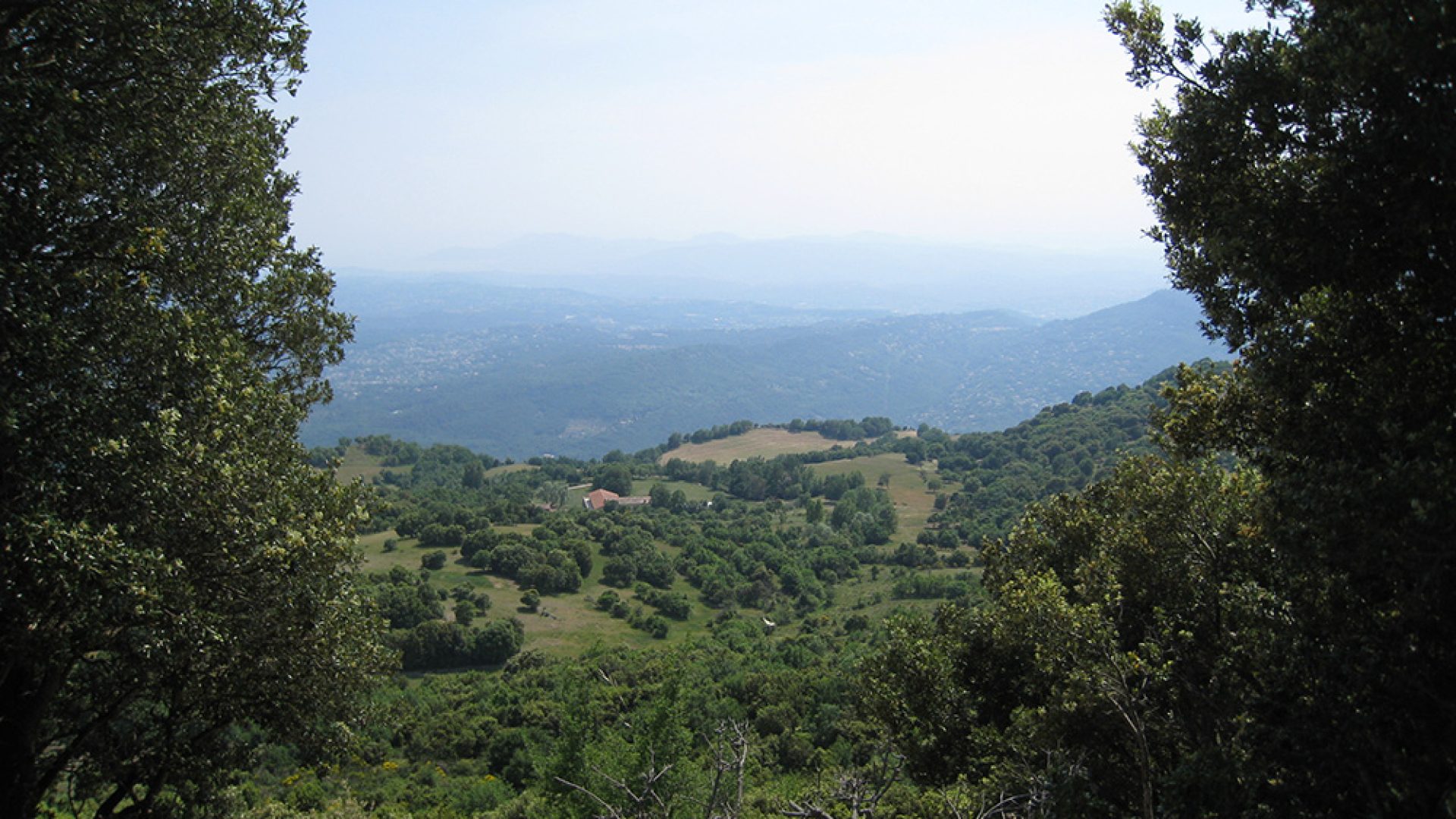 Grâce aux 600 hectares des Courmettes, A Rocha va former à l’environnement
