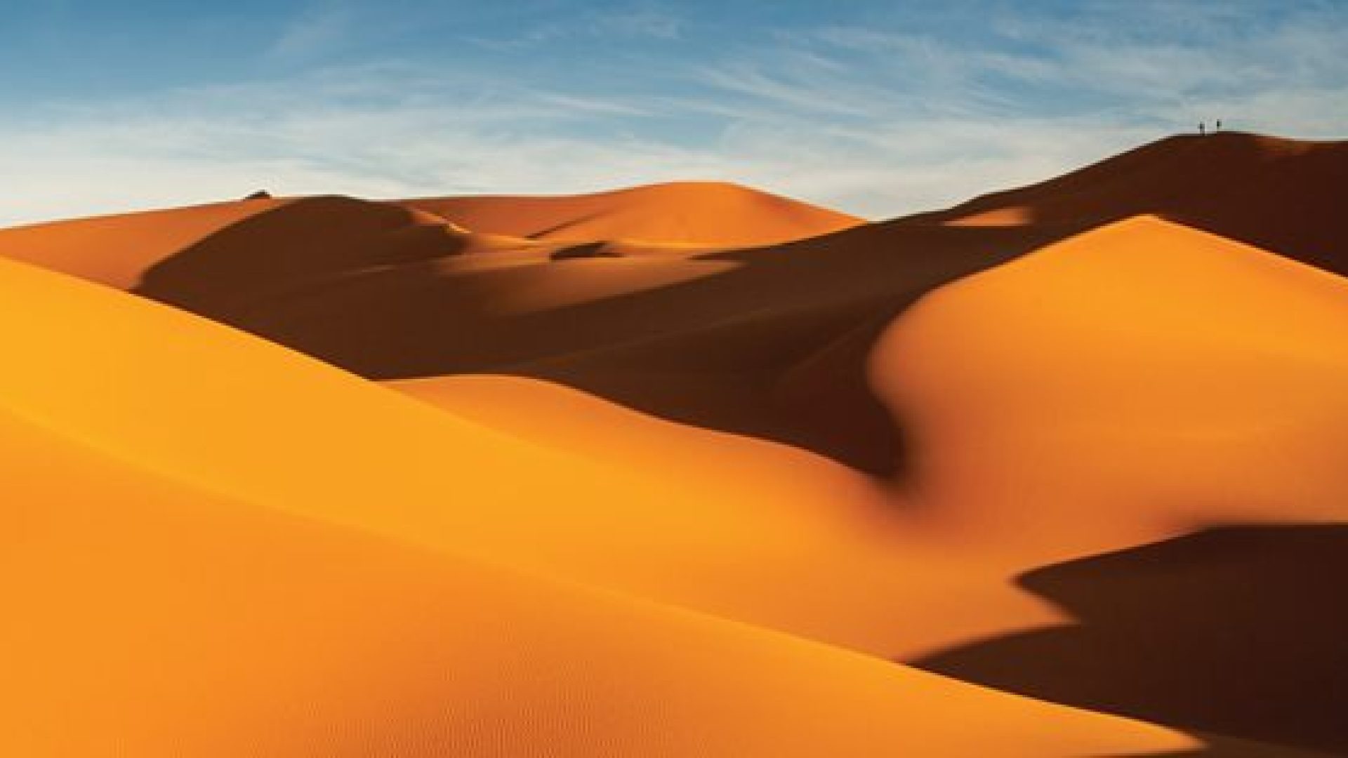 "Dans le désert, à l'école du Christ" par Cédric Chanson