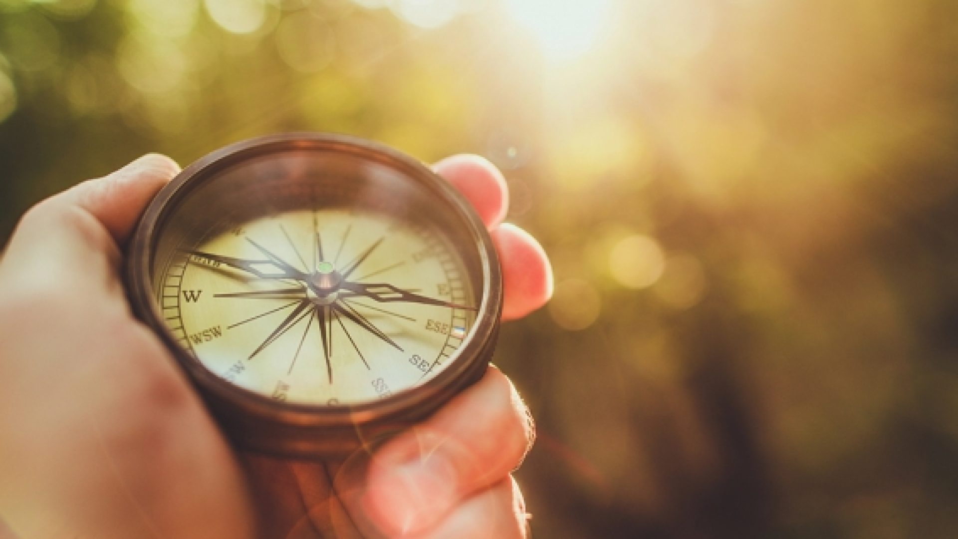 Qu’en est-il du sens de la vie ?