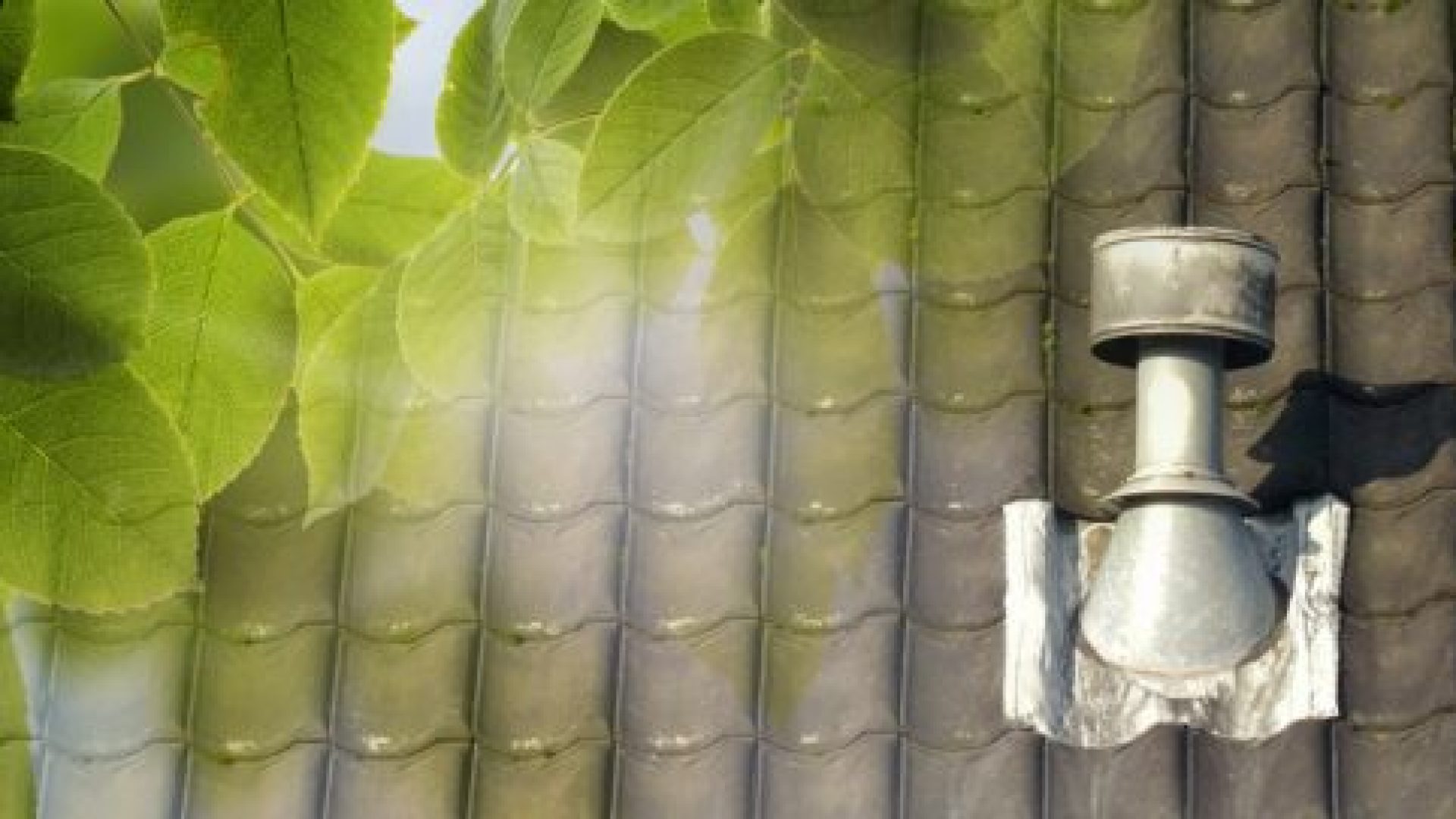 Séminaire A Rocha 2008 : le bilan énergétique des lieux de culte et des maisons individuelles à l’ordre du jour