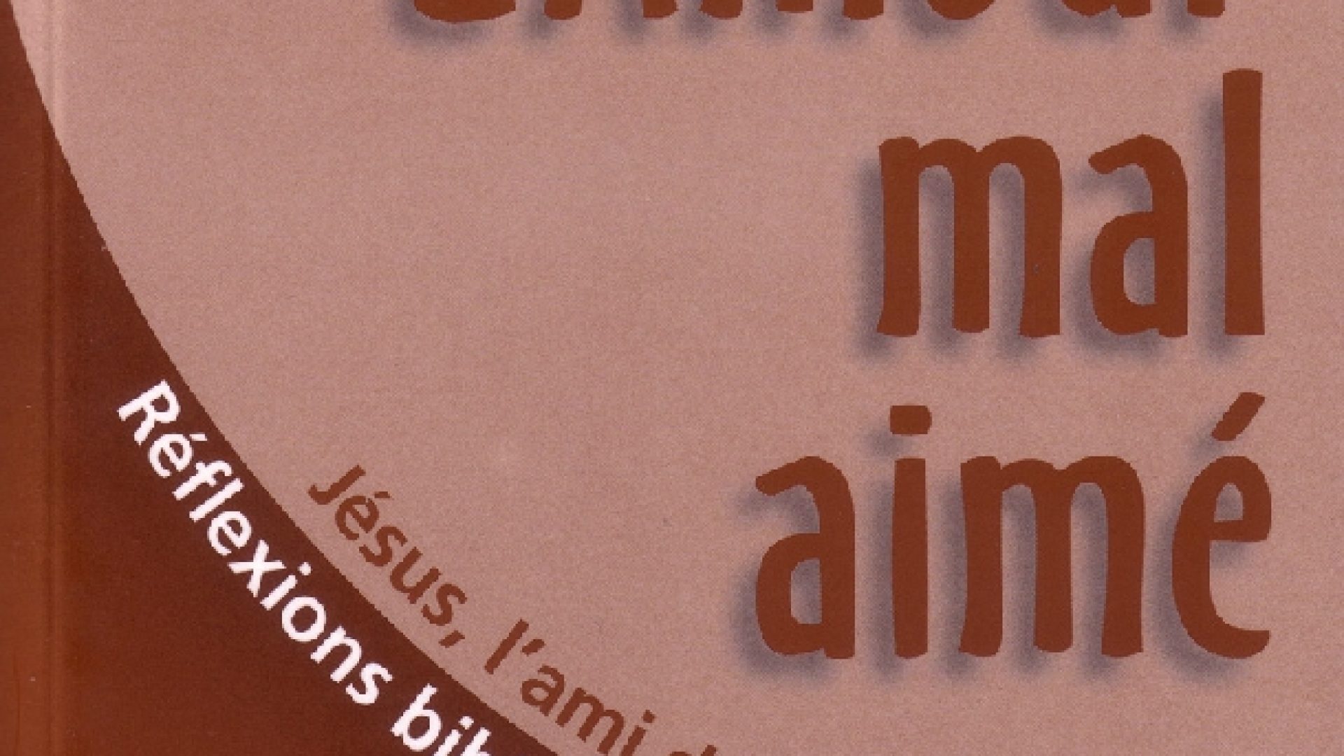 « L’amour mal aimé. Jésus, l’ami des homosexuels » à nouveau disponible