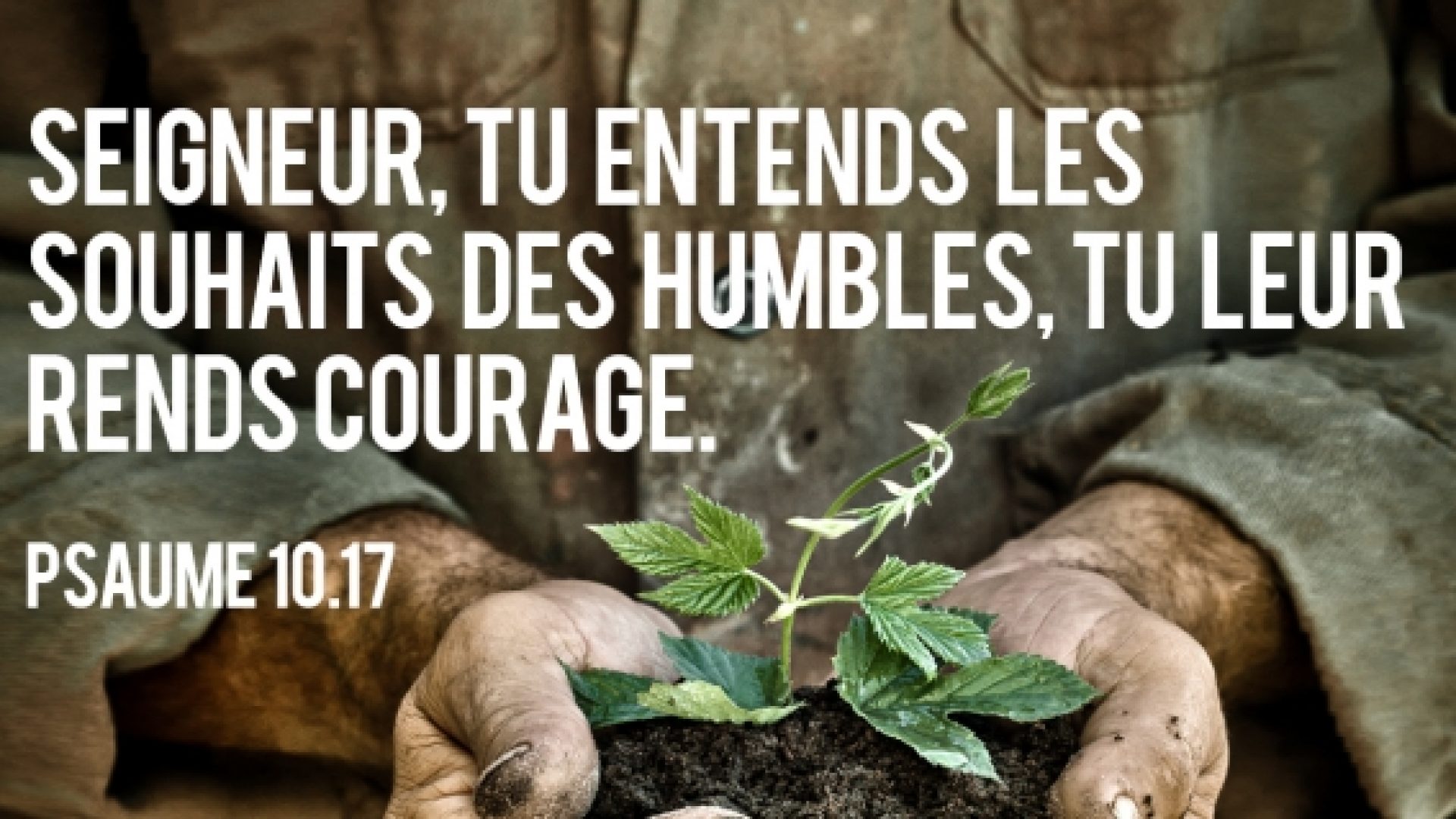 «Seigneur, tu entends les souhaits des humbles, tu leur rends courage», une chronique de Serge Carrel pour Radio R