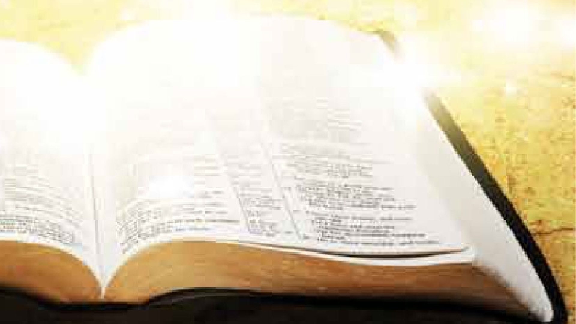 « La Bible : on y croit toujours ! »