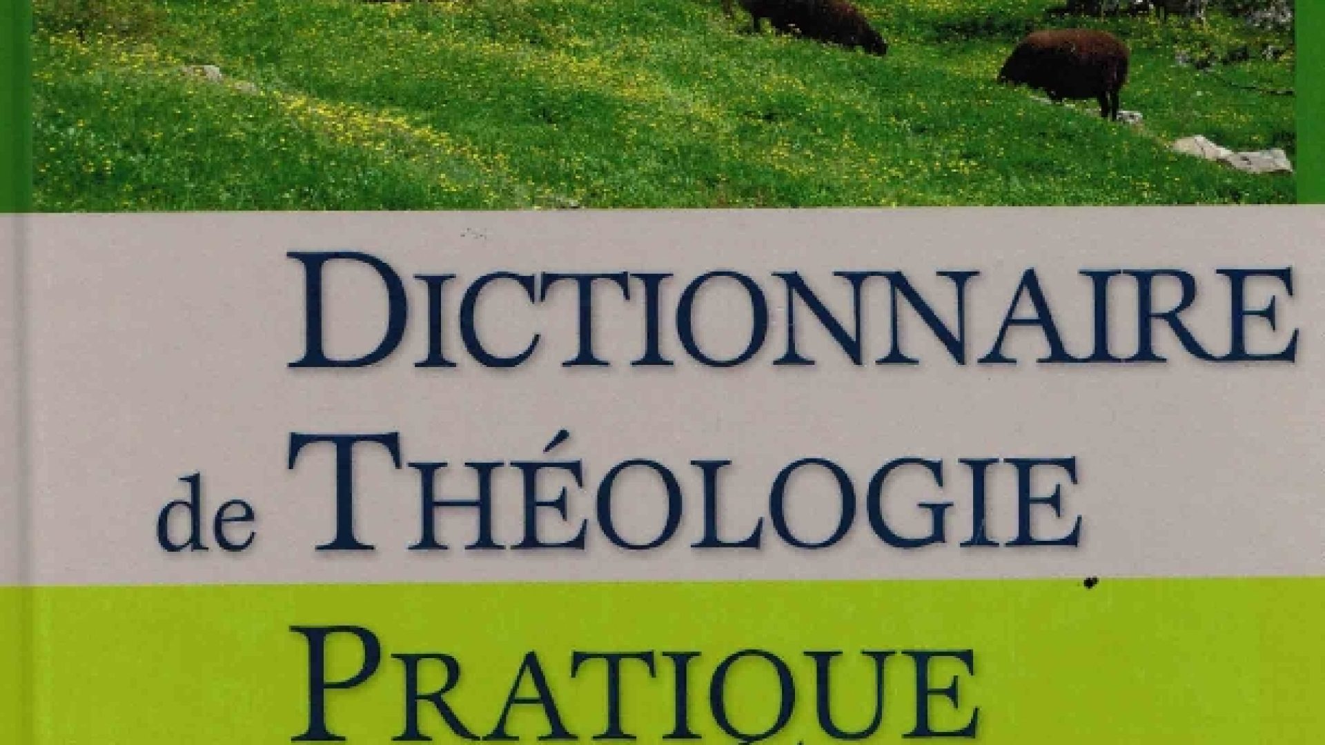 Le "Dictionnaire de théologie pratique", un incontournable pour conseils d’Eglise et pasteurs