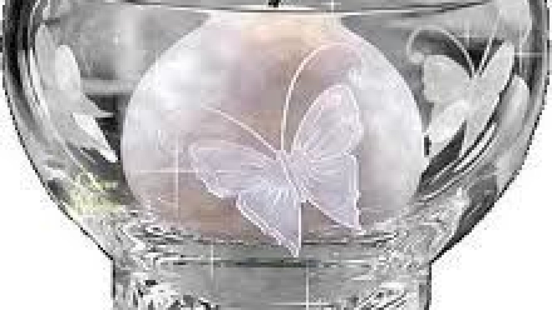 Avec ceux qui meurent...