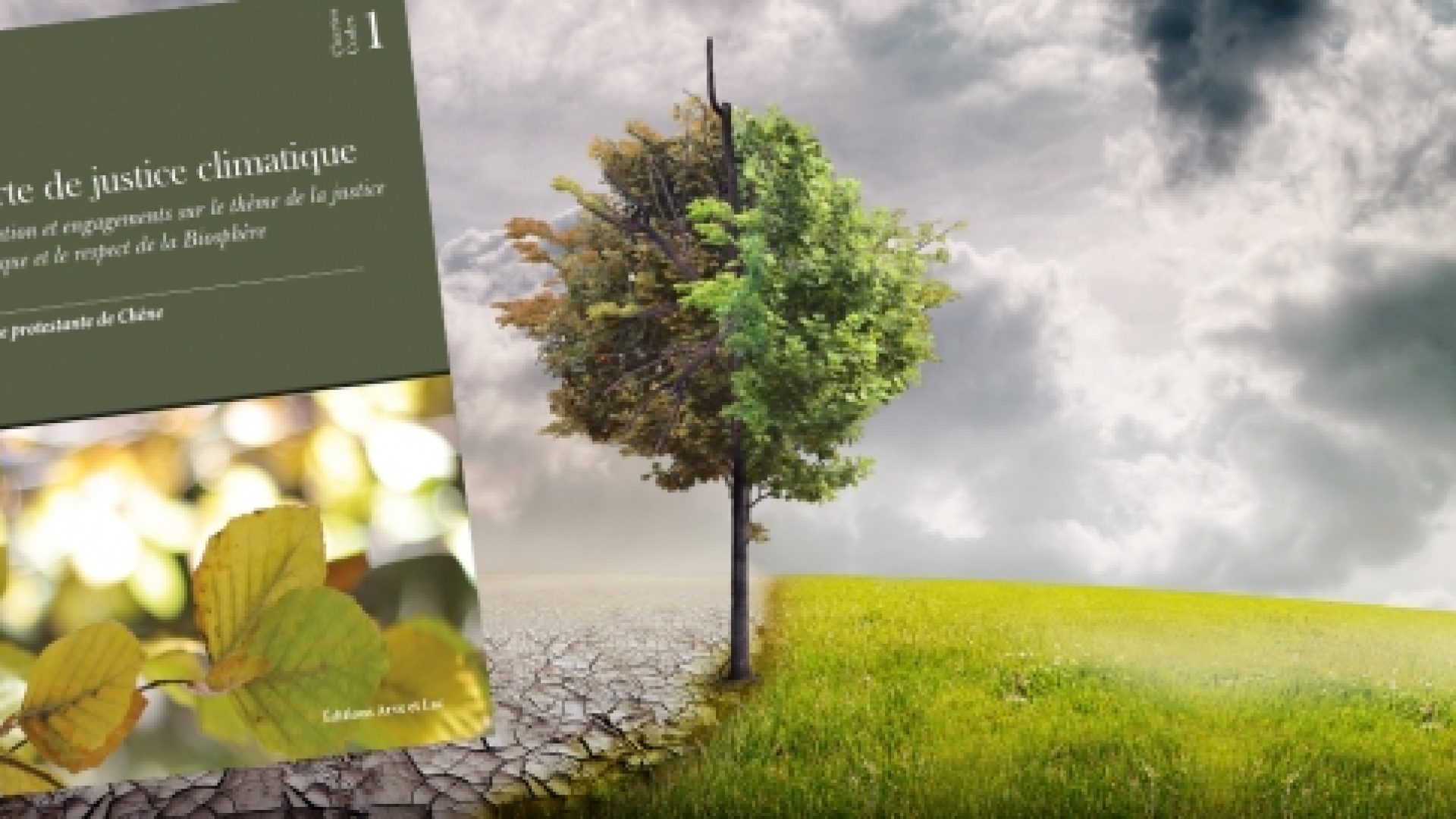 Justice climatique : la charte d’une paroisse réformée genevoise source d’inspiration pour les Eglises évangéliques