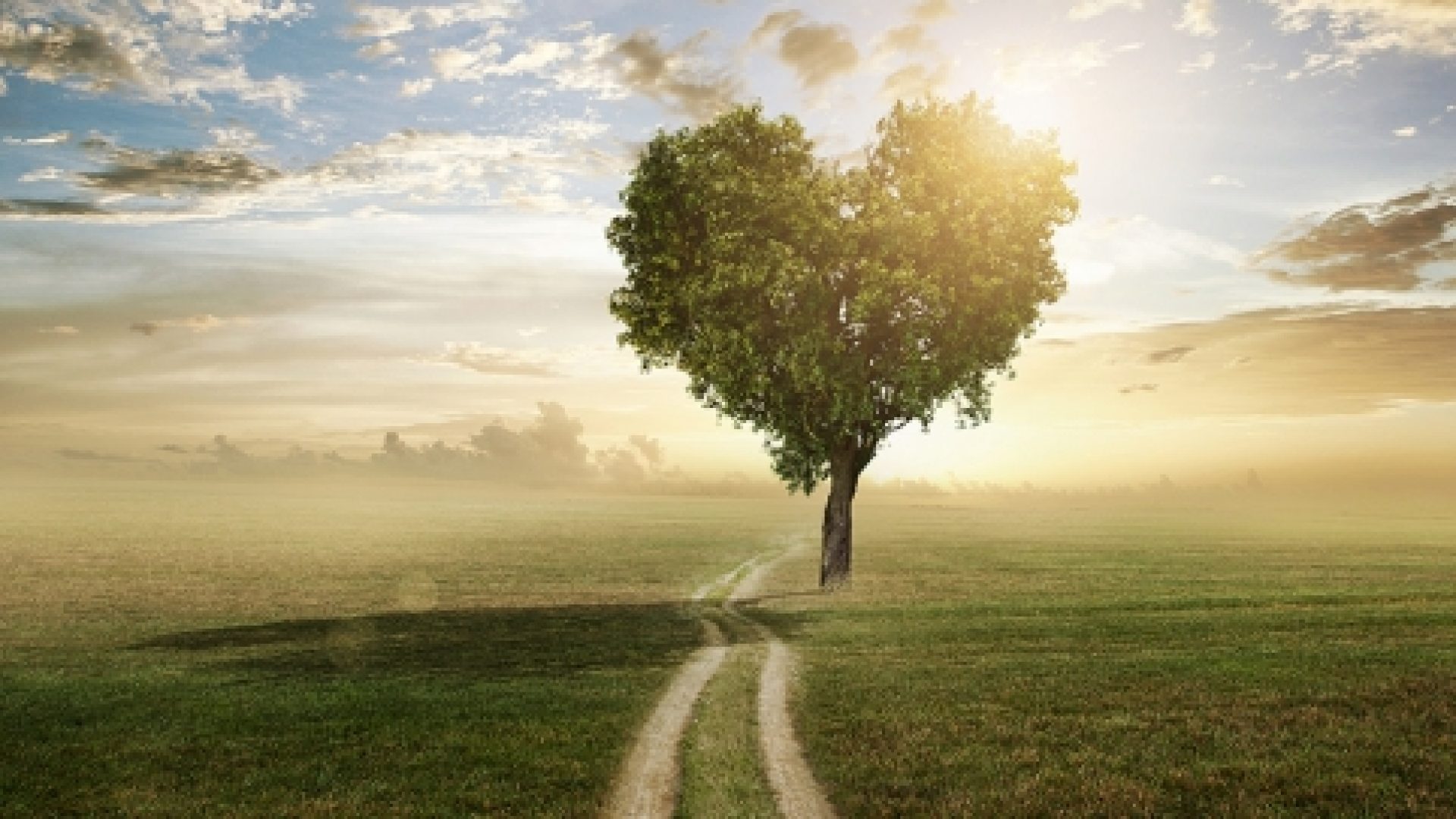 « Cultivez l'amour! » par Anne-Catherine Piguet