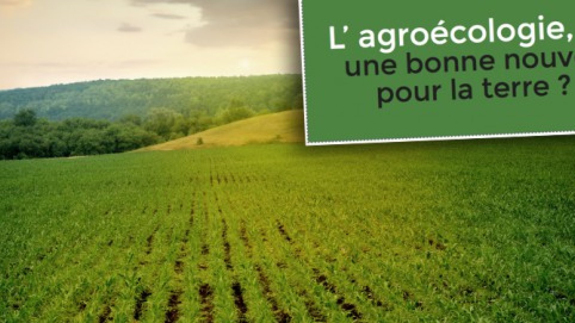 Des évangéliques discutent d'agroécologie à l’Eglise évangélique Lazare