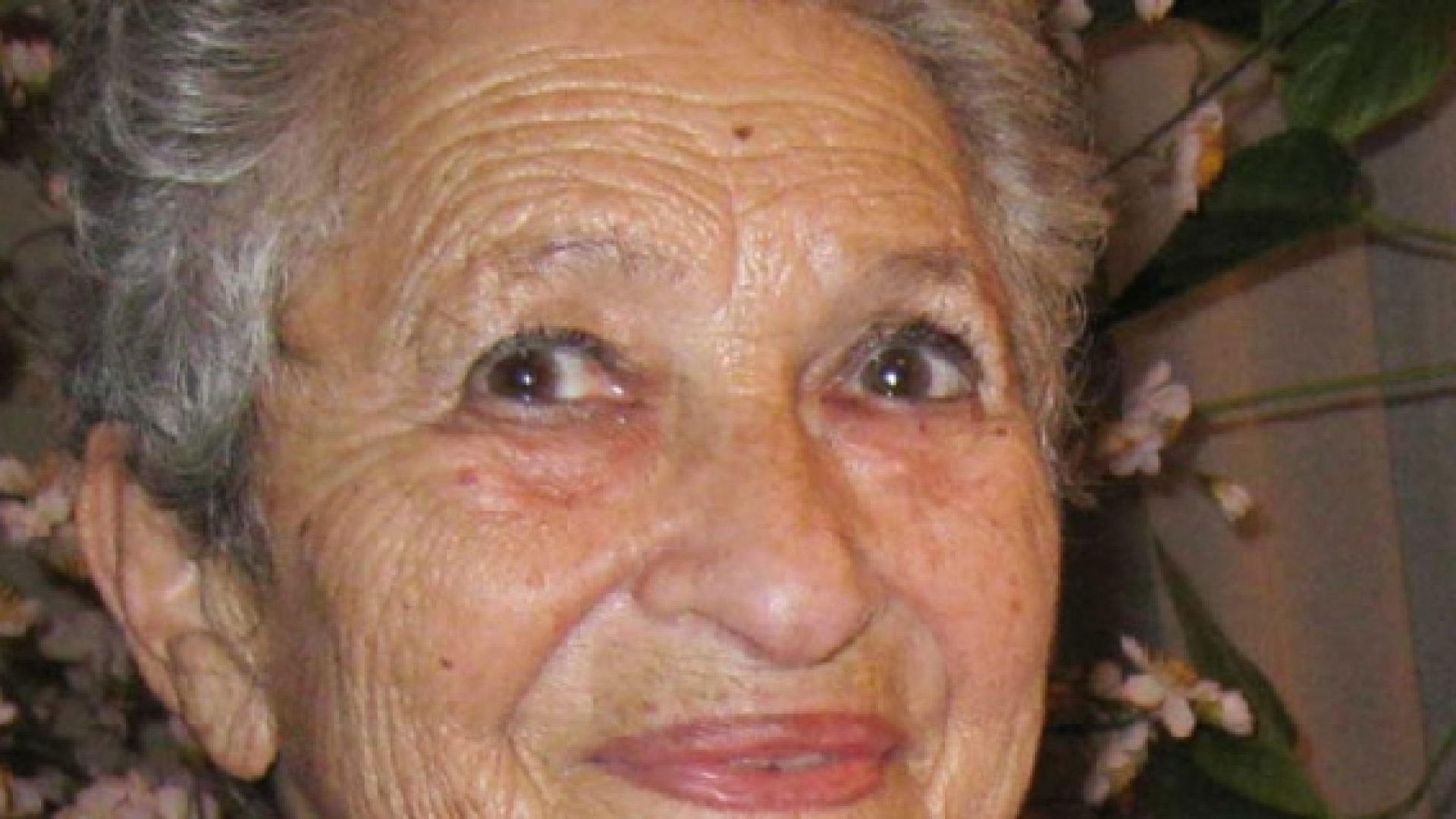 75 ans de la libération d’Auschwitz : « Magda Hollander-Lafon : ‘Une vie à re-construire’ »