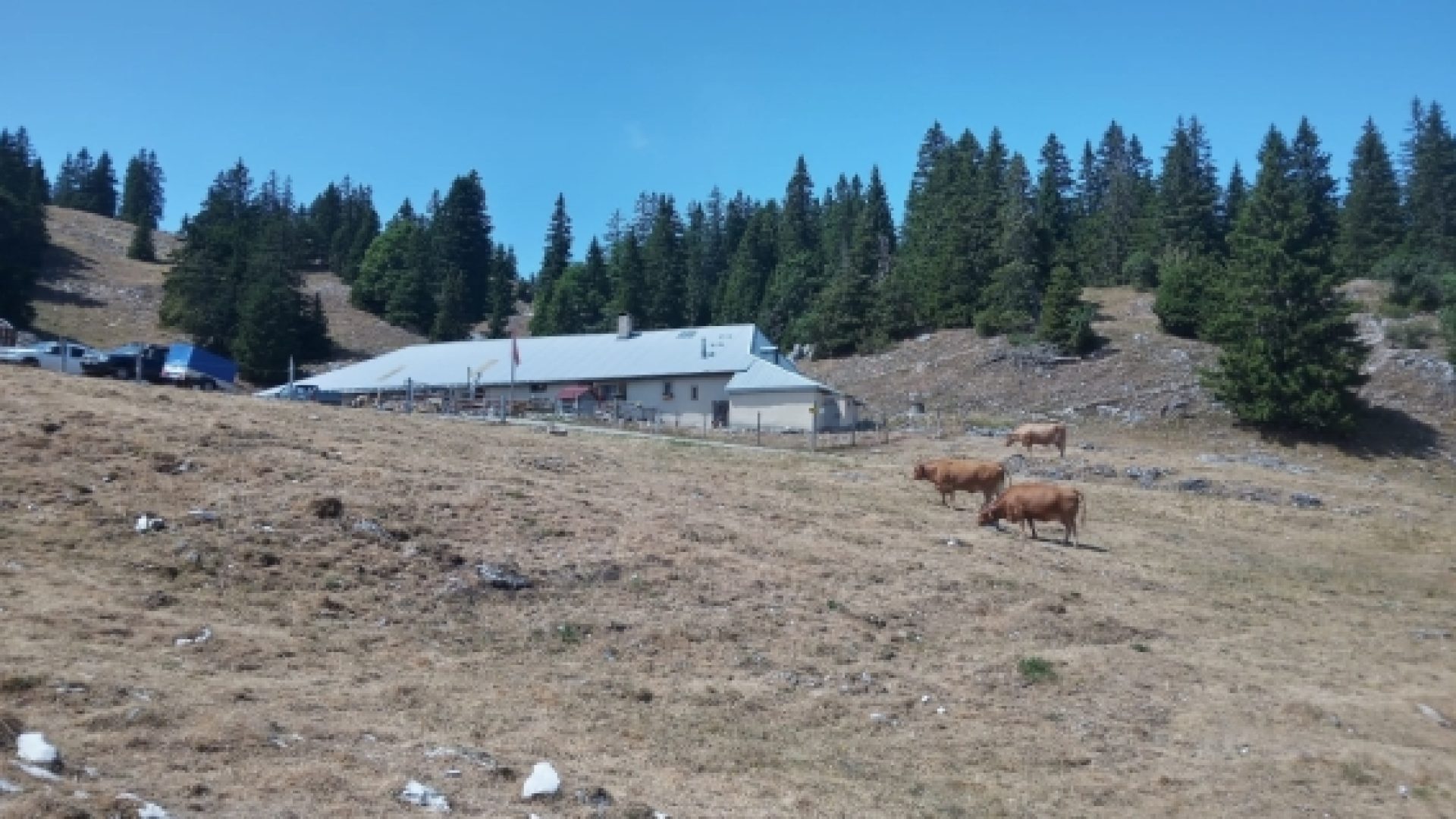 Sécheresse : un été éprouvant pour les paysans