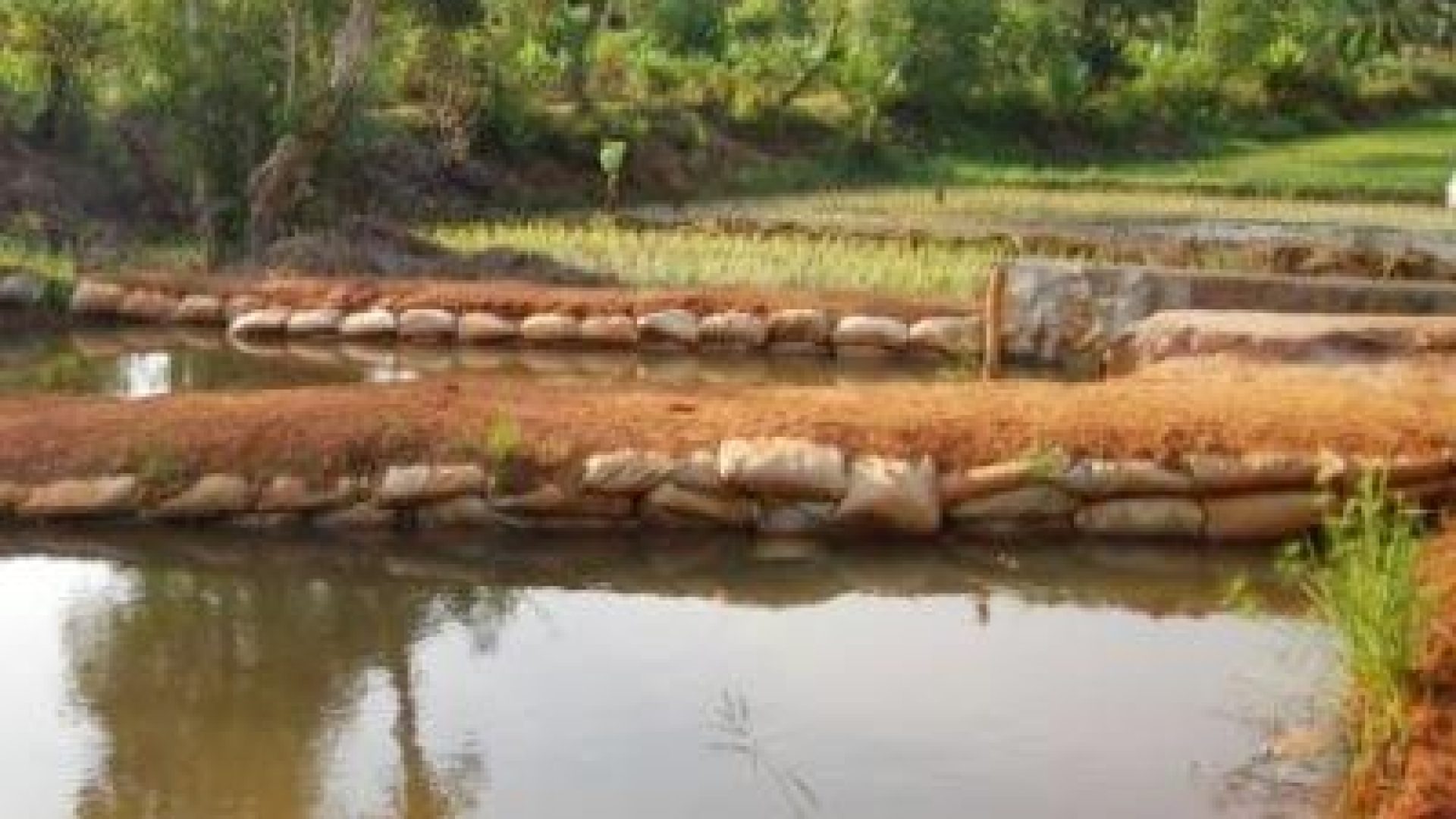 "Nourrir futé!" avec Déborah et Naïna Rakotoarijiao