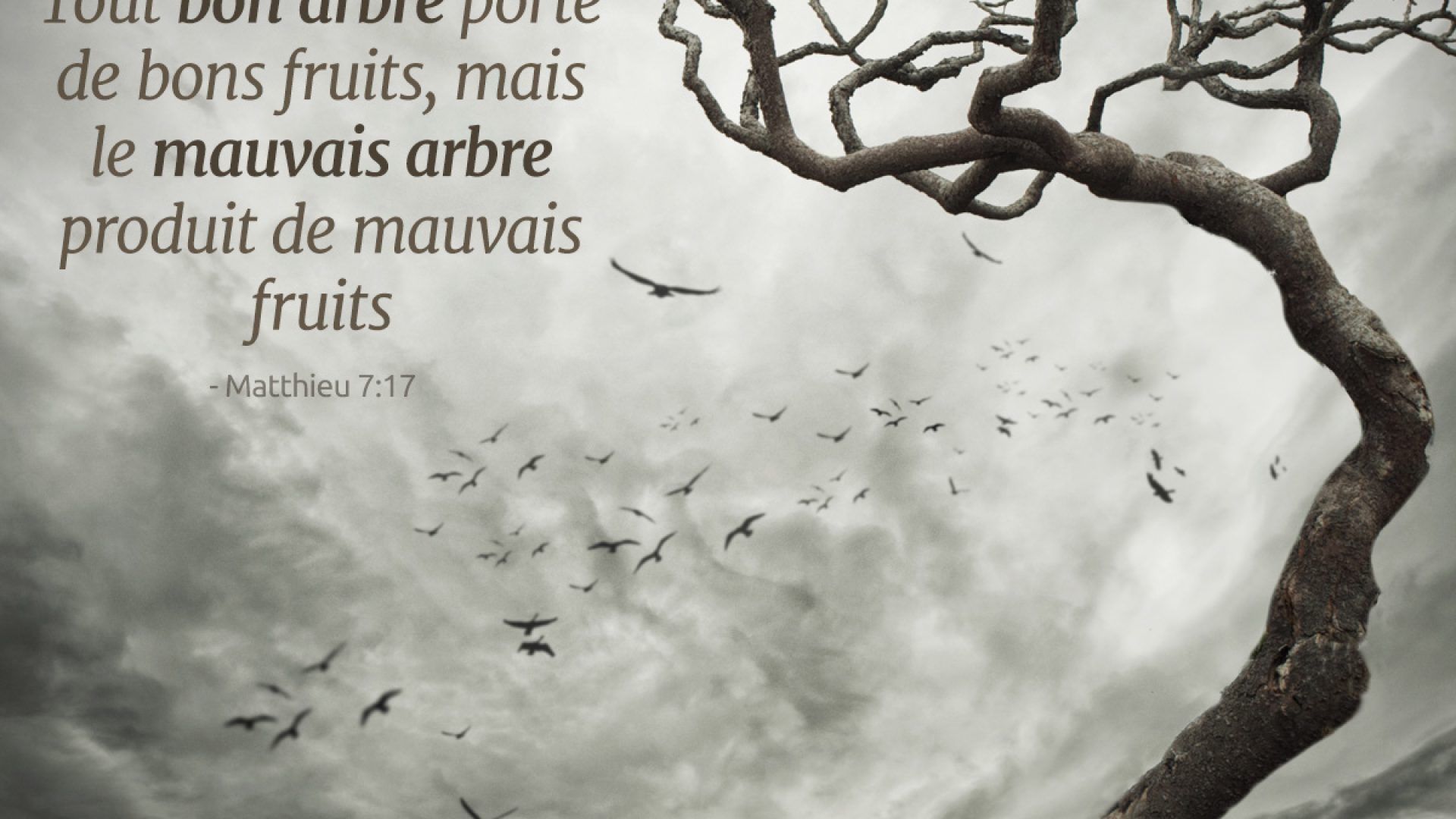 Faux serviteurs de Dieu – vendredi 3 avril