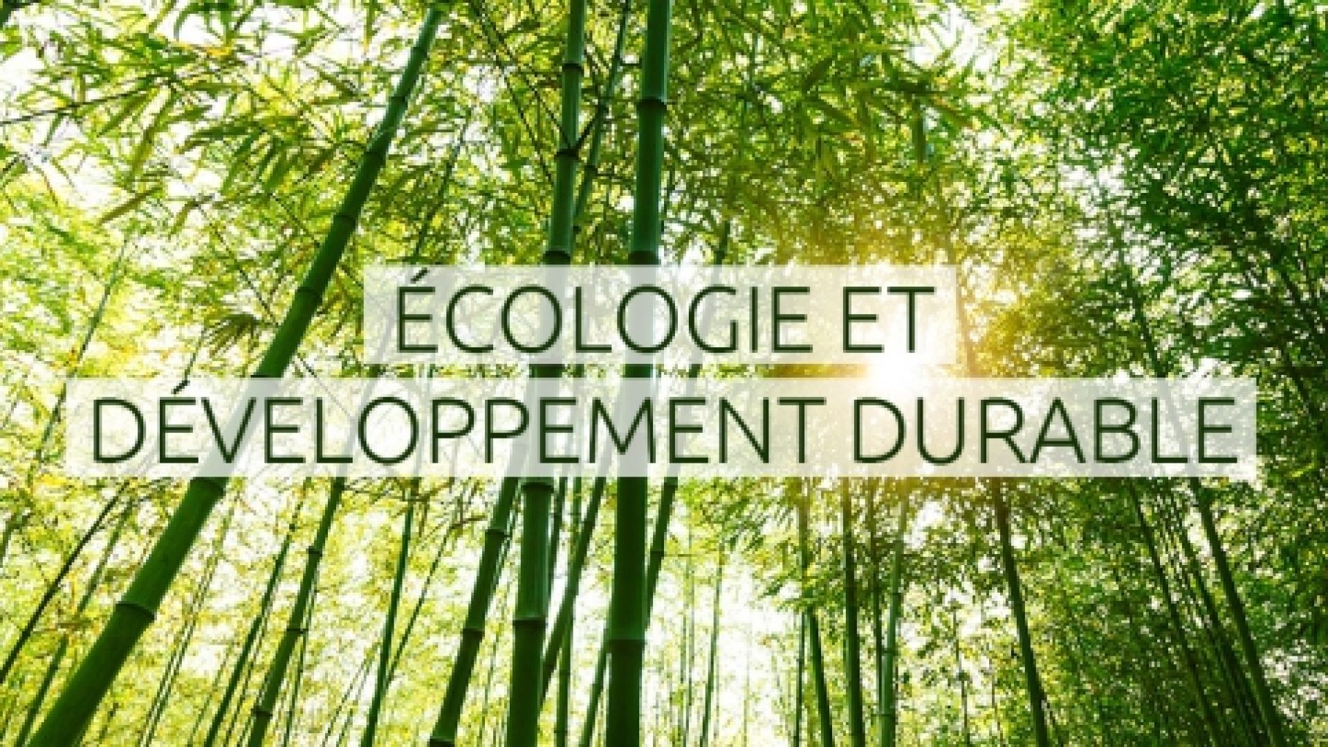 Le Réseau des scientifiques évangéliques invite à un engagement écologique
