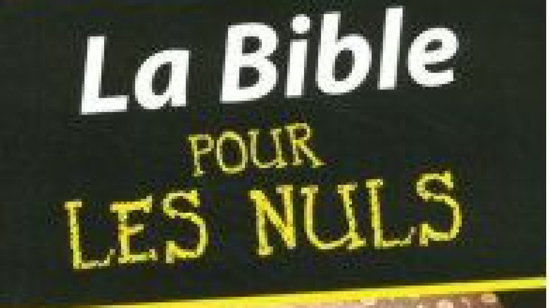 Eric Denimal et sa "Bible pour les nuls"
