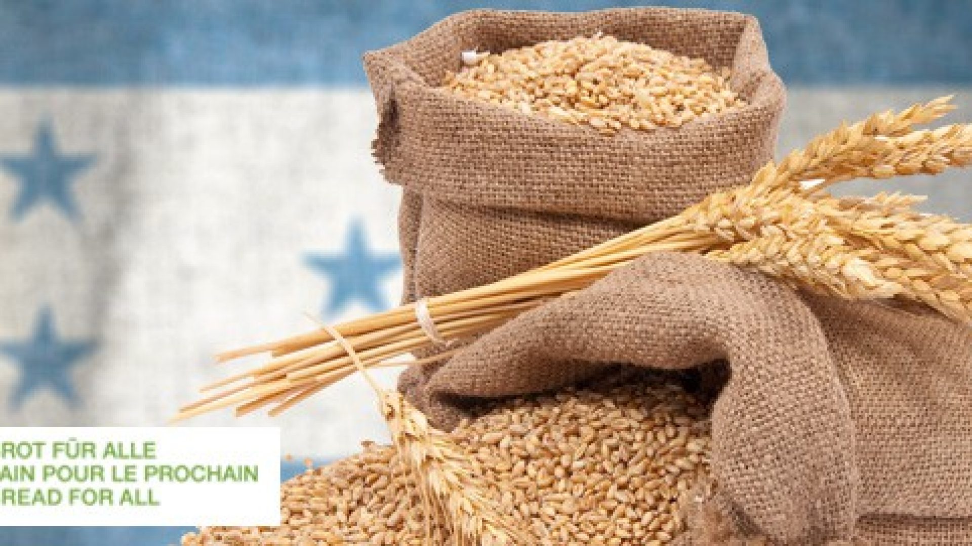 Monsanto épinglé par une ONG chrétienne