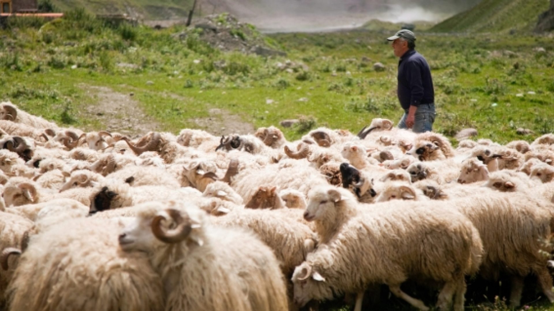 Du métier de pasteur·e. Et vous.