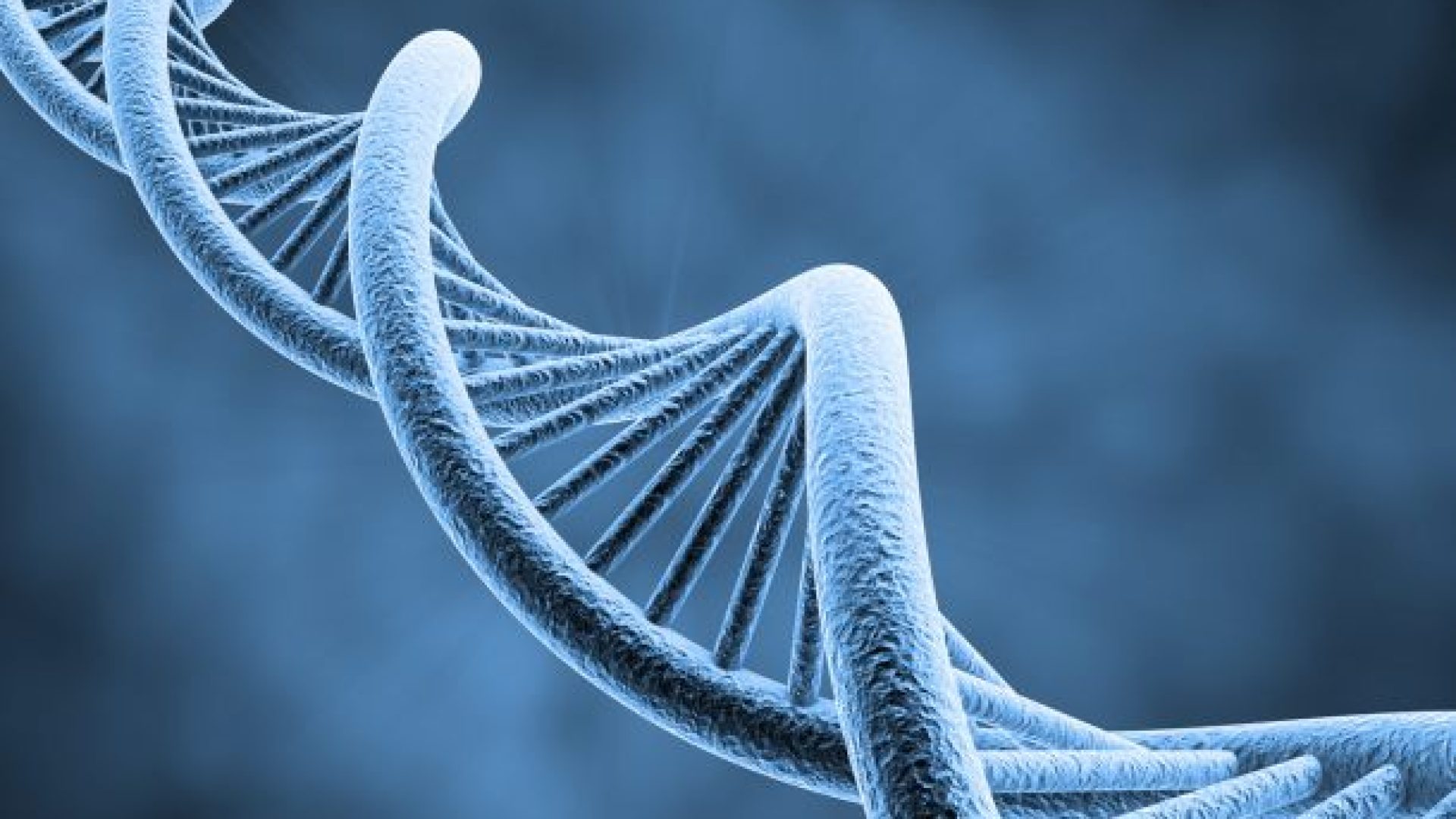 Des scientifiques évangéliques se penchent sur leur vision de l’être humain