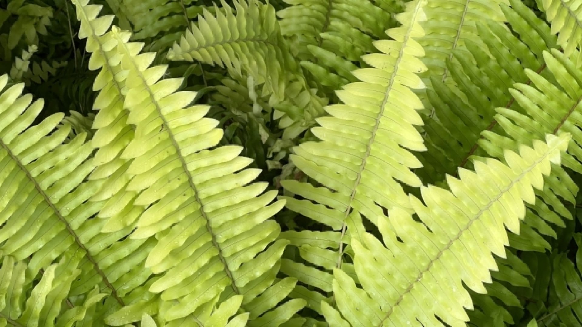 Mois de mars: Détox' la Terre défie les chrétiens à réduire leur consommation