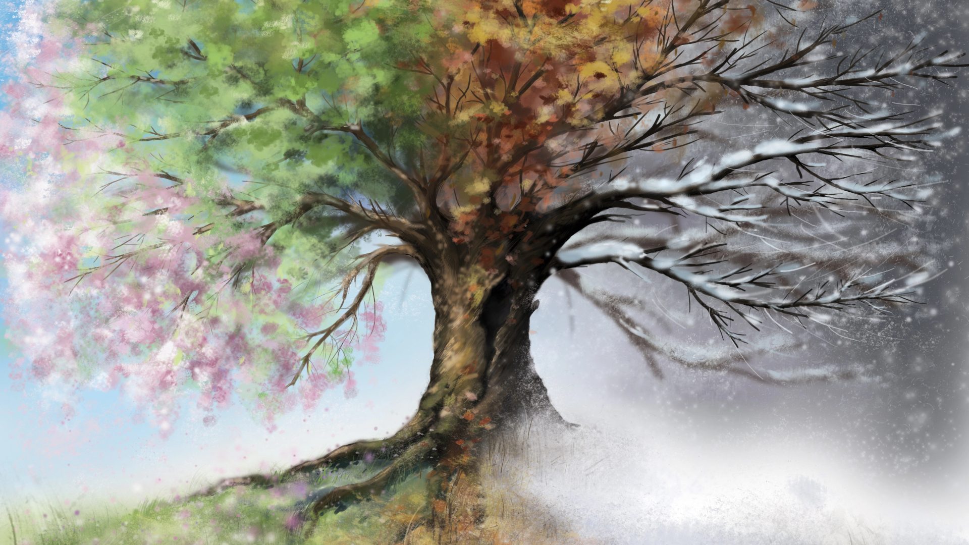 Arbre 4 saisons 1920x1080