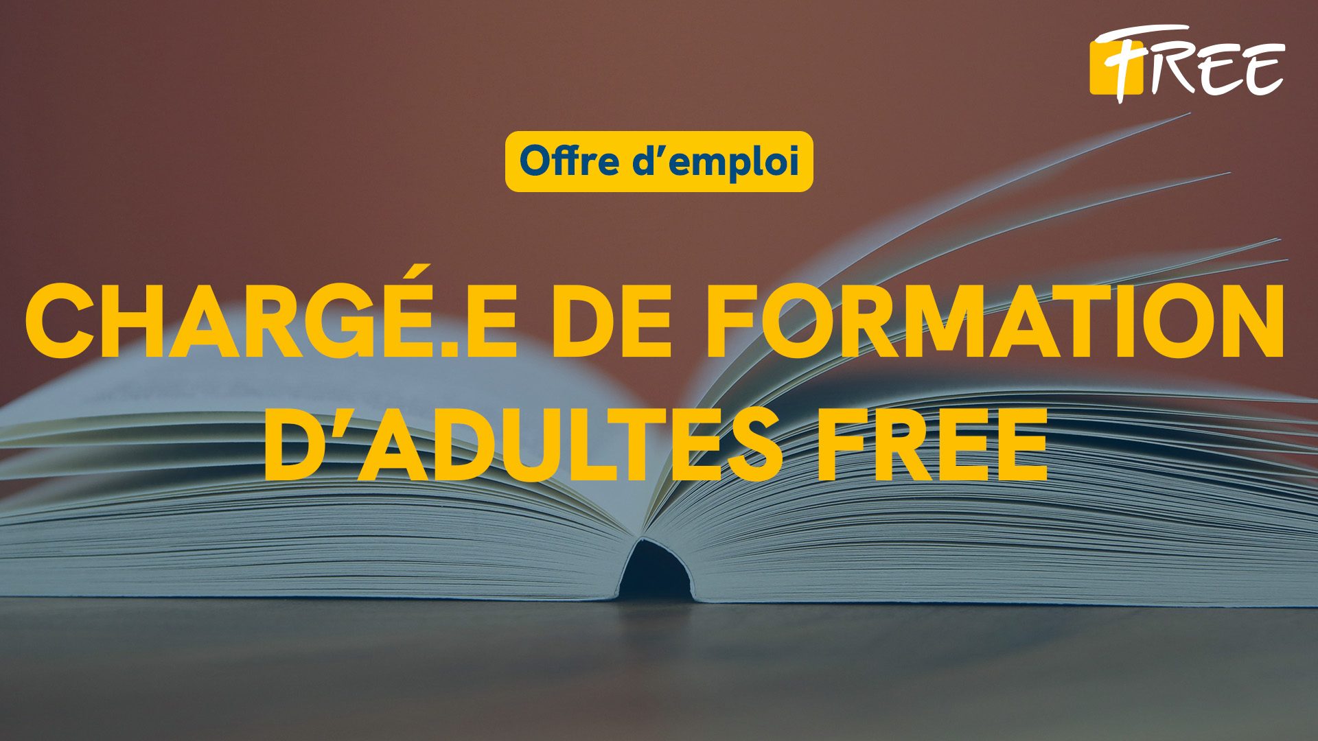 FREE-emploi-formation