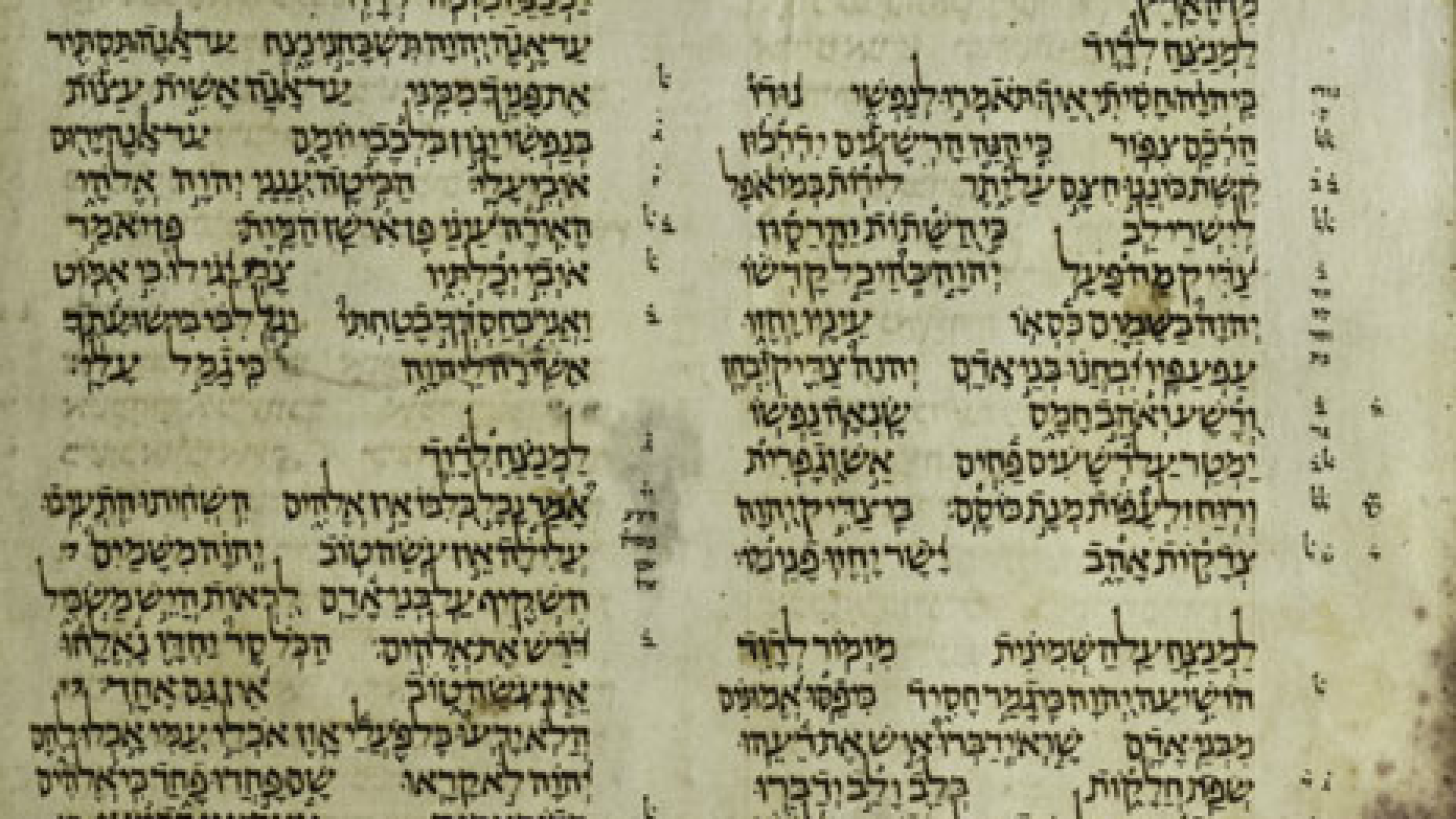 "La Bible et ses manuscrits" par Antony Perrot