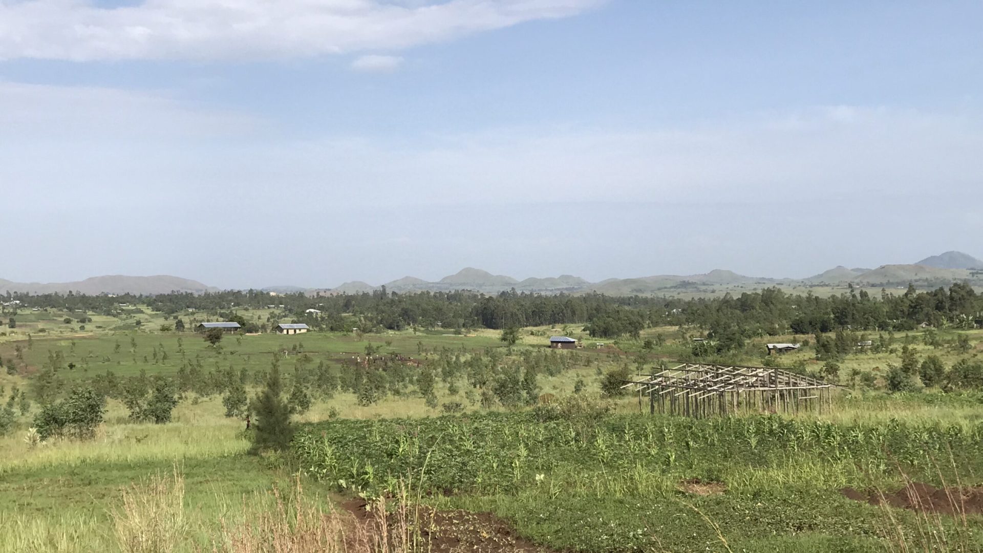 RDC : les coopératives Ujamaa, un développement du CEMADEF en Ituri