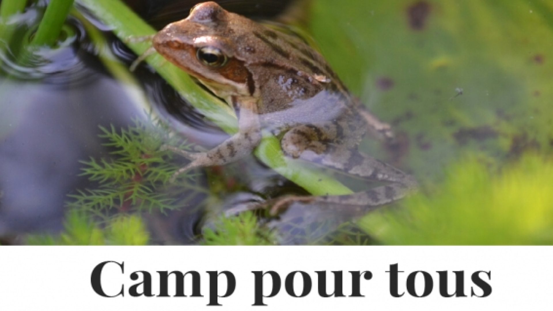 Du 11 au 18 juillet dans le Limousin: camp d’initiation à une écologie pratique