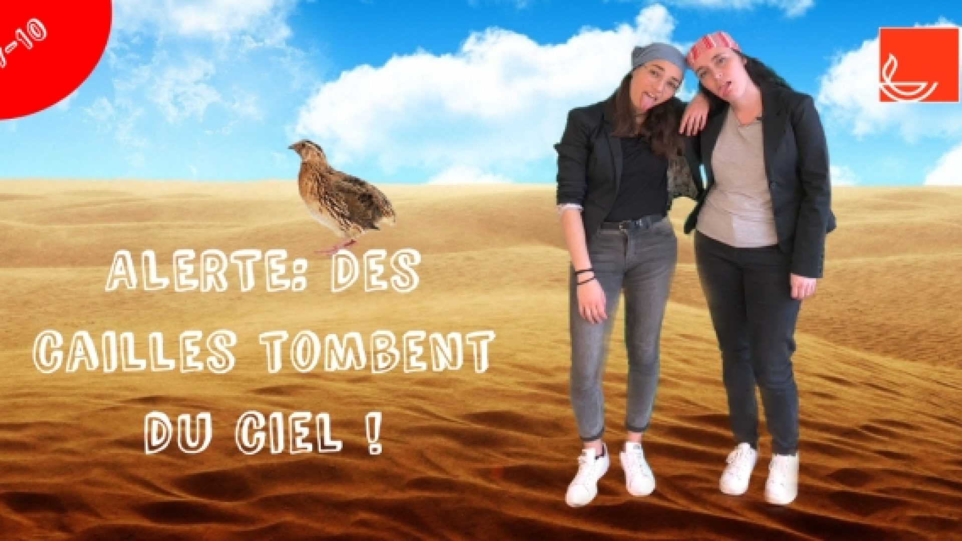 Série « Les animaux dans la Bible » : les cailles