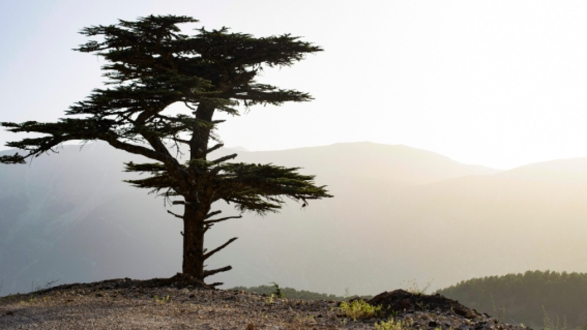 La foi d’une Libanaise