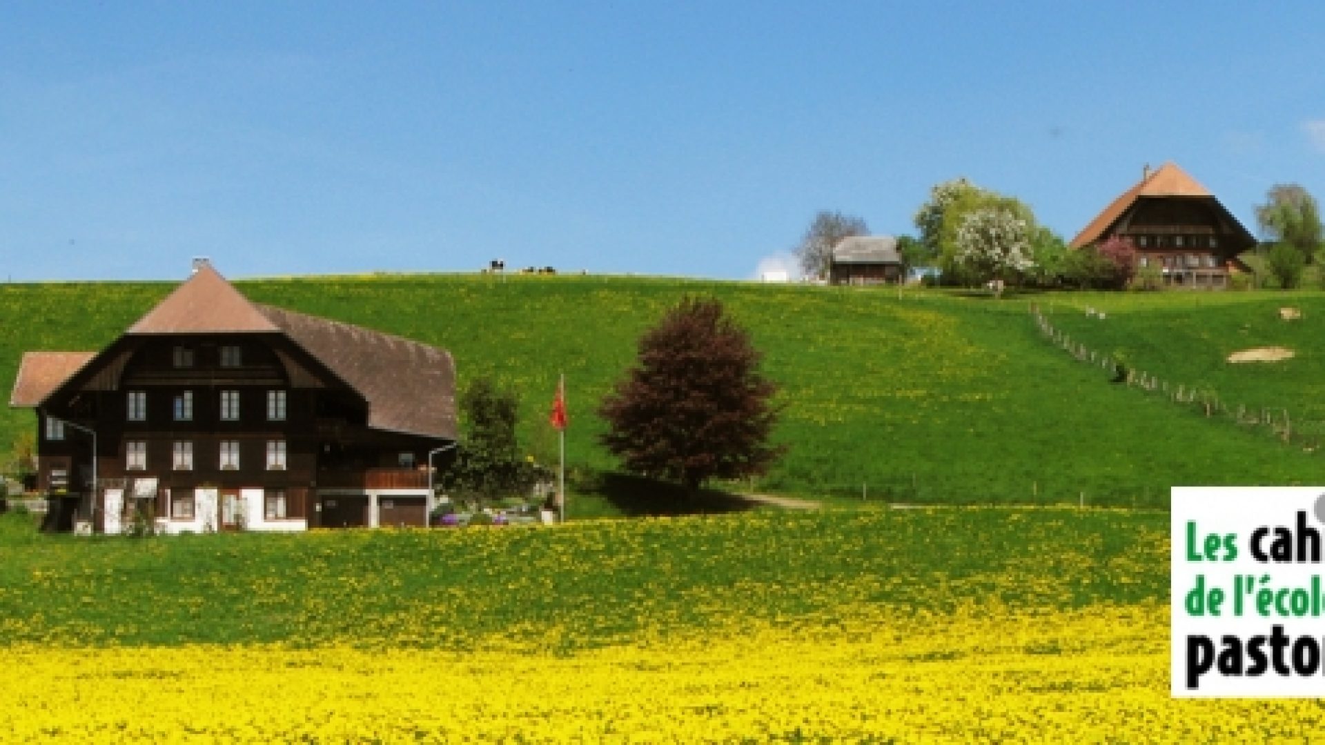 « Le pasteur en milieu rural » par Pierre Maignial
