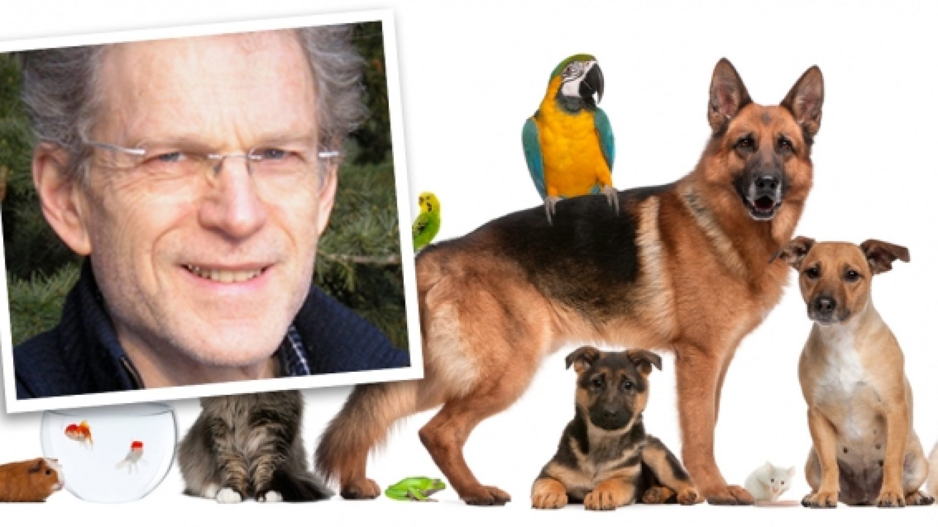 « Antispécisme : la révolution régressive », par Christian Bibollet