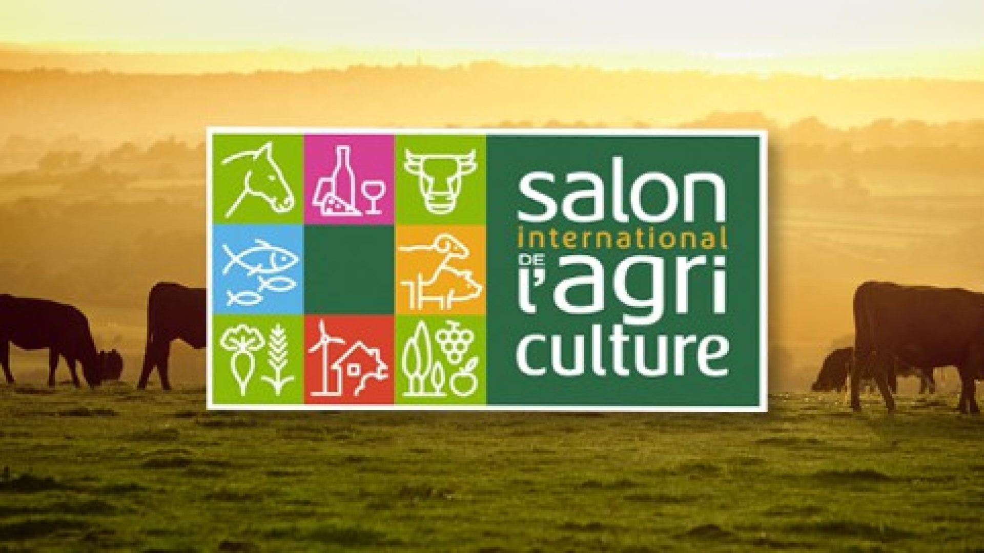 France et Suisse: les Eglises solidaires des agriculteurs