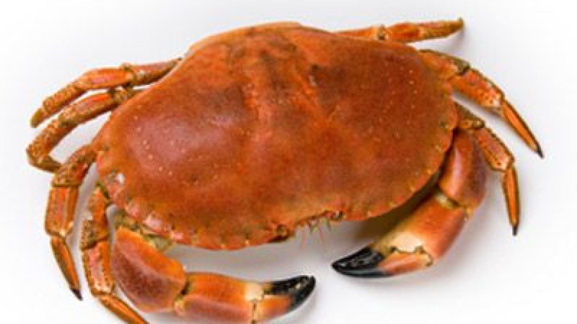 Quand le cancer débarque